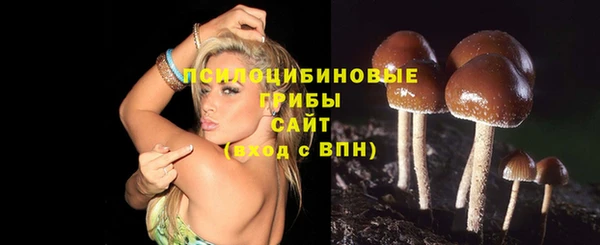 дмт Дмитровск